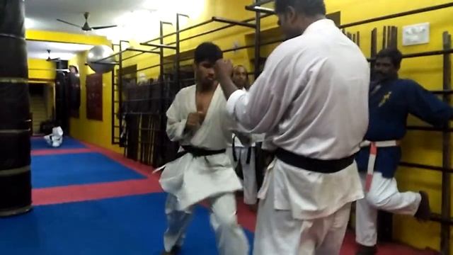 Seiken Karate - Groin Kick Power