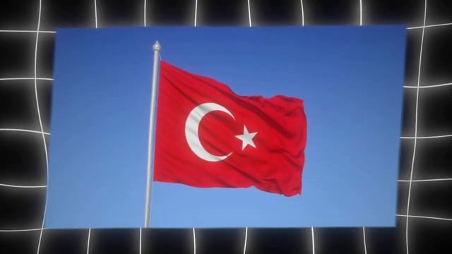 БРОДЯЧИЕ СОБАКИ - УГРОЗА смотреть онлайн