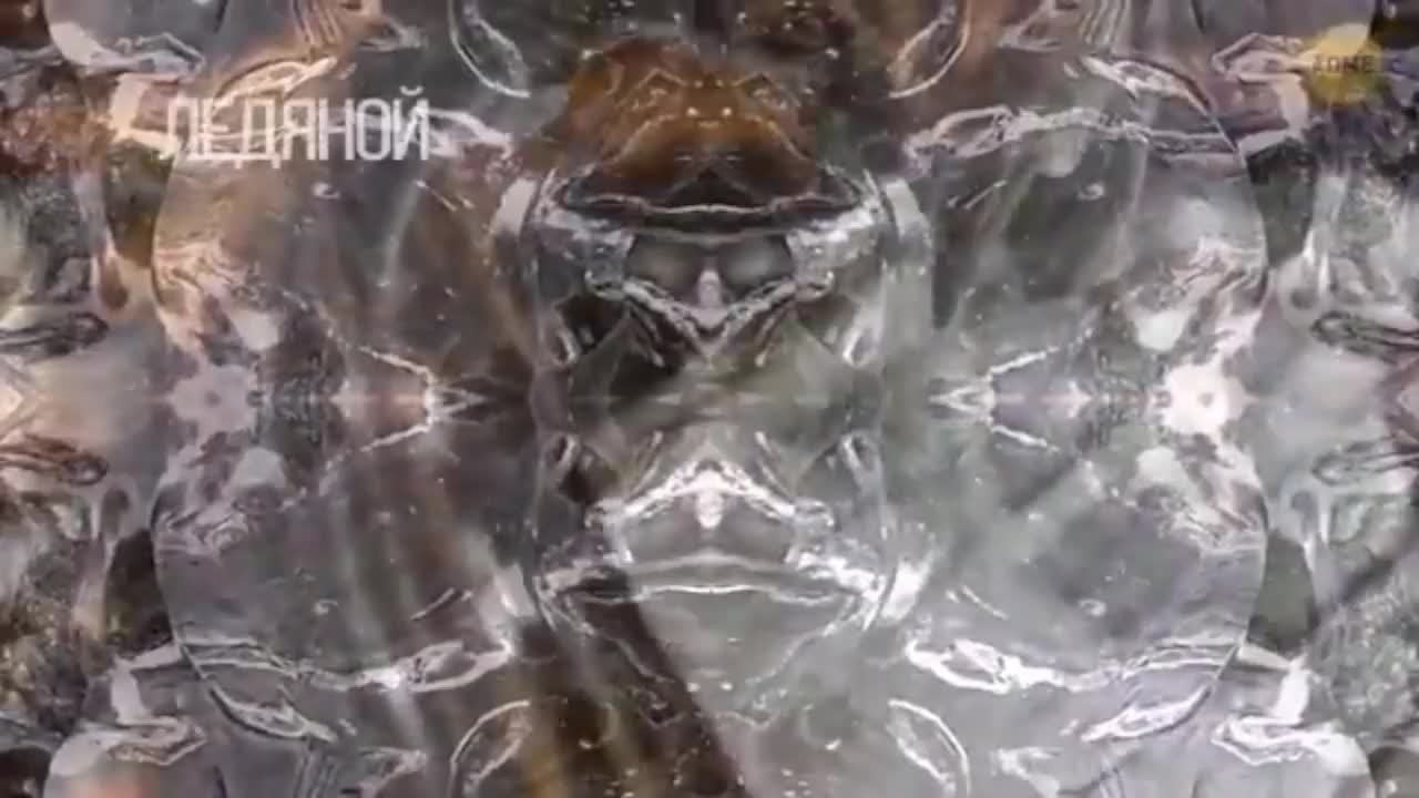 «Замерзший дракон» найден спустя 76 миллионов лет во льду смотреть онлайн