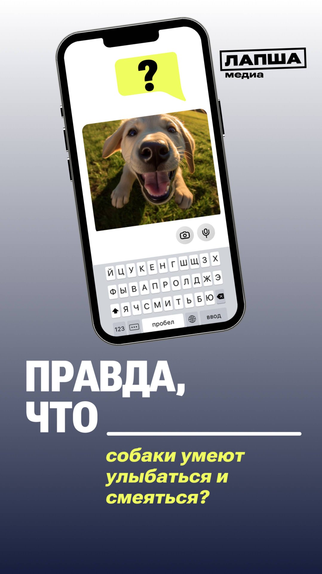 Правда, что собаки улыбаются? | Разбор теории #новости #факты смотреть онлайн