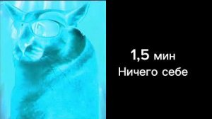 Сколько варятся пельмени:   [Шлёпа]