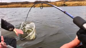 ВОТ ЭТО УДАР!!ОНА ЧУТЬ НЕ СЛОМАЛА МНЕ СПИННИНГ!!!НАШЕЛ РАБОЧУЮ БЛЕСНУ НА ЩУКУ!!