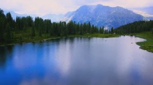 Лучшее видео природы и окружающего мира в 4K!