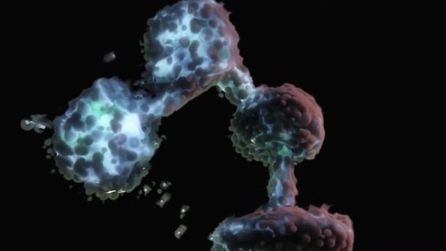 Stemz. Experiment in Blender with Flip Fluids and volume displacement смотреть онлайн