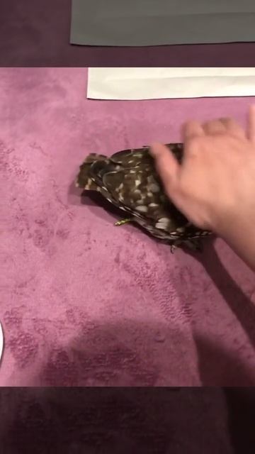 Aww cute animals videos , Like and Subscribe #shorts смотреть онлайн