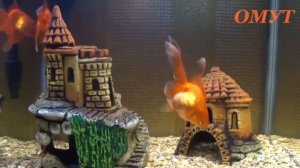 127. Защитный кувшин.Для тех кто с БОГОМ...И Ваши комменты.