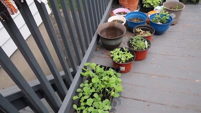 BNN| Keep on Praying Heaven Rules!| June Rose Garden| Lady Wisdom Speaks Episode 428 смотреть онлайн