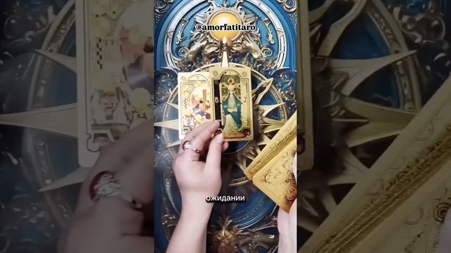 Как ему без вас?