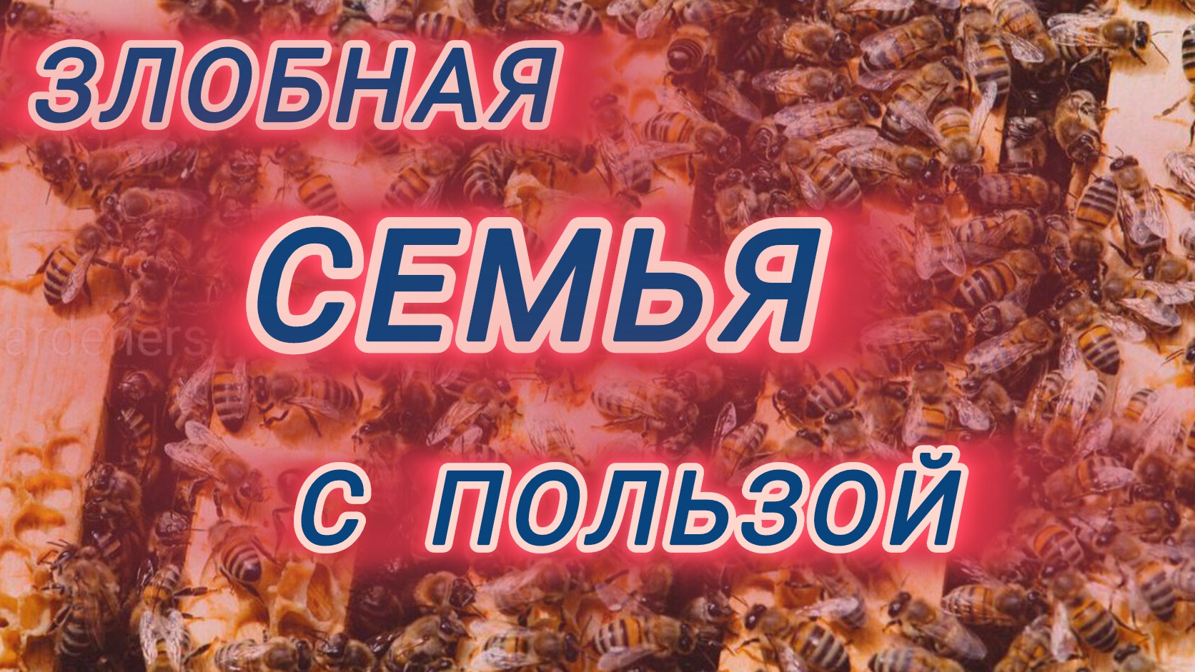 Злобная семья с пользой 🐝 смотреть онлайн