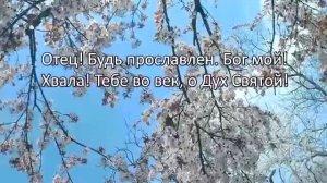 ❤️Красивая Христианская песня со словами и клипом. 🙏