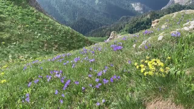 24 марта 1920 - день начала записи Учения Живой Этики смотреть онлайн