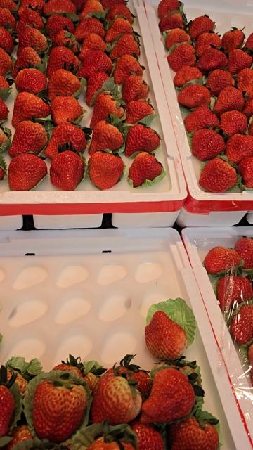 норм ягодки :)#гонконг