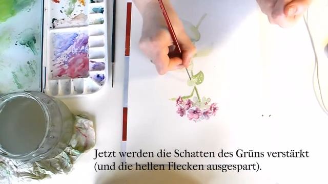 Lungenkraut (Pulmonaria officinalis) in Aquarell – Schritt für Schritt Speedpainting смотреть онлайн