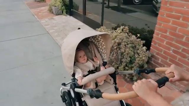 Коляска Bumbleride Era на прогулке смотреть онлайн