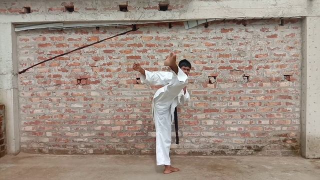 Karate Exercise Home Training Immunity Power Kick Karate
