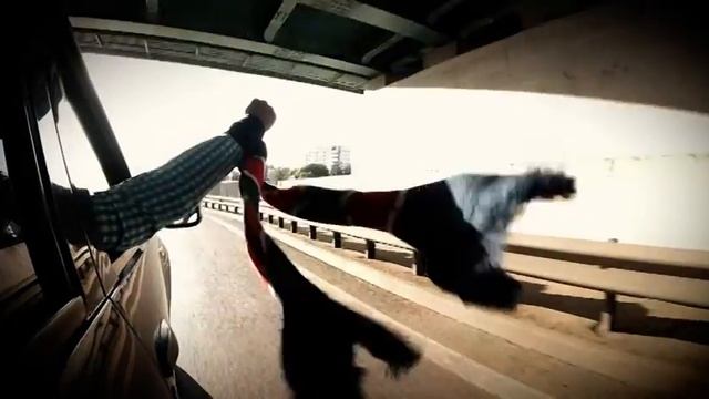 Новый хоккейный телесезон на "Первом Ярославском" смотреть онлайн