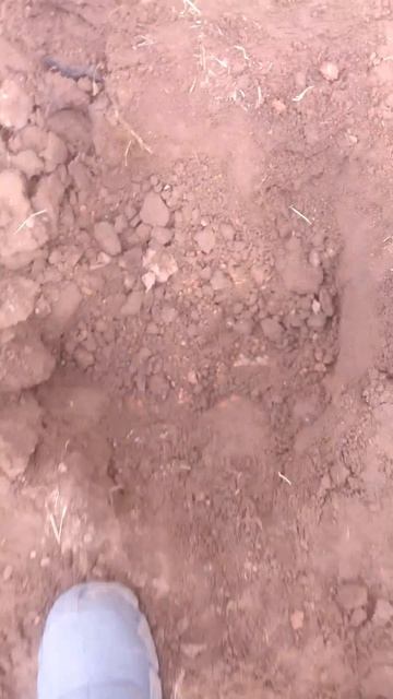 Металлоискатель 🪙