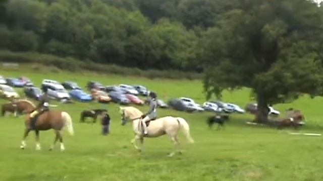 Meg And Honey Bunnii