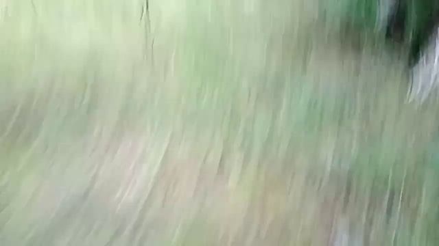 типичное видео Димы Масленникова: смотреть онлайн