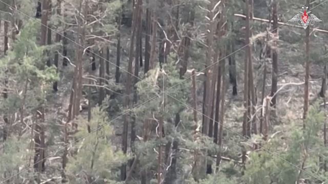 Штурм бойцами ВДВ украинского опорного пункта в лесах под Кременной, 05.2023 ⬇️ смотреть онлайн