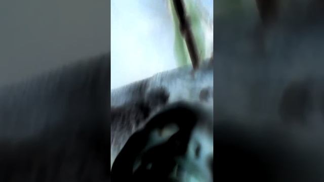 Картошка фри ПВП(1)