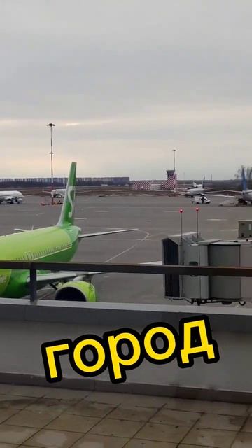 Новое #путешествие начинается! #shorts смотреть онлайн