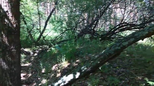грустный коп смотреть онлайн