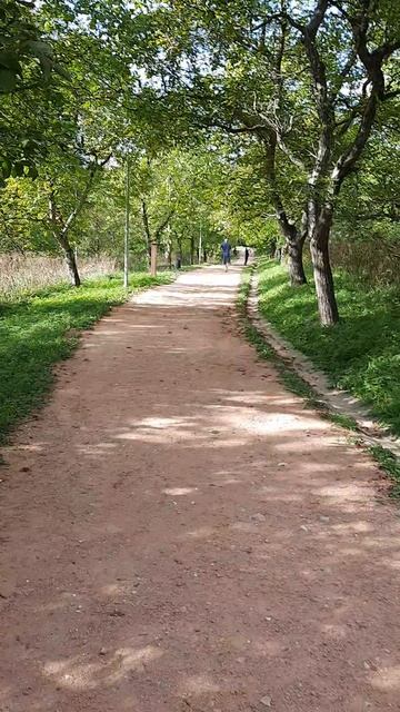 20230915_153352 смотреть онлайн