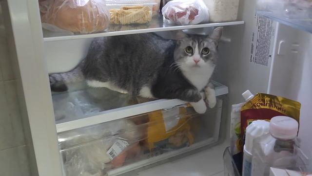 зравствуйте... смотреть онлайн