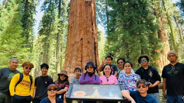 2021 Camping - Sequoia National Park смотреть онлайн