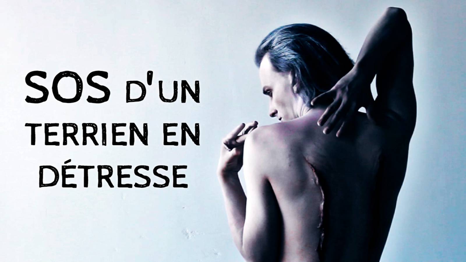 Ярослав Баярунас, Дмитрий Семенищев - SOS d’un terrien en détresse (cover)