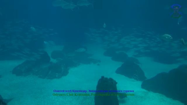 Океанариум г. Лисабон /Lisbon Oceanarium
