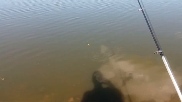 Поколение Fisher next смотреть онлайн