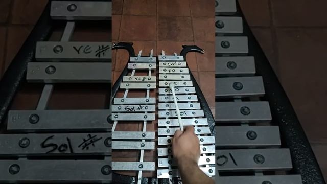 La vida es un carnaval en lira смотреть онлайн