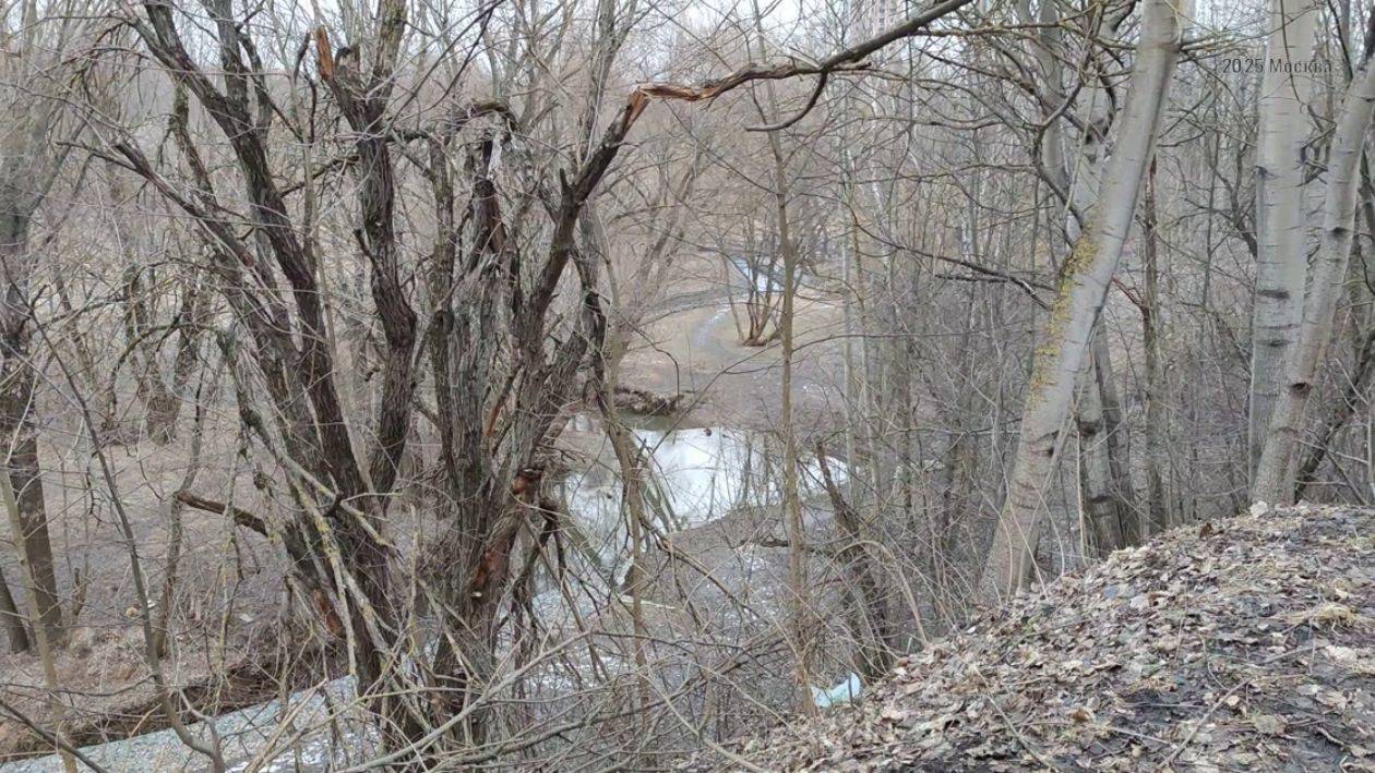 Парк 50-летие Октября река Раменка Москва весна 2025