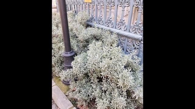 Озеленение Турции. Greening Turkey. смотреть онлайн