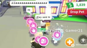 NEW SEA TURTLE IN ADOPT ME! Roblox Adopt Me Sea Egg