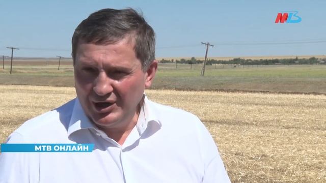 В Волгоградской области дан старт уборочной кампании смотреть онлайн