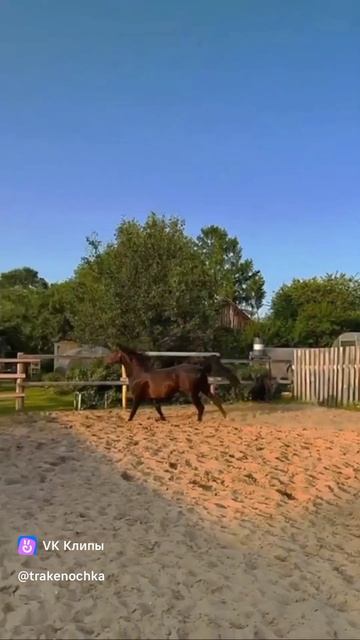 мощная техника самоходная т 34