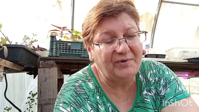 Привезла новые растения.Сезон открыт.