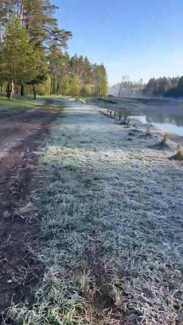 #Спортивнариболовля #риба #рибалка #київ #україна #щука #короп #судак #лишня #відпочинок смотреть онлайн