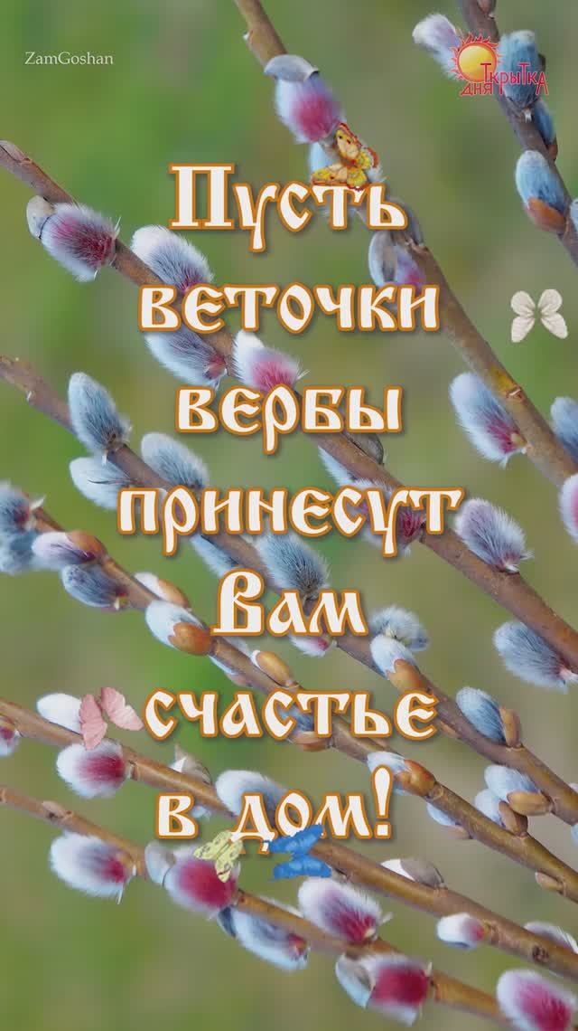 С вербным воскресеньем. Открытка с вербой. смотреть онлайн