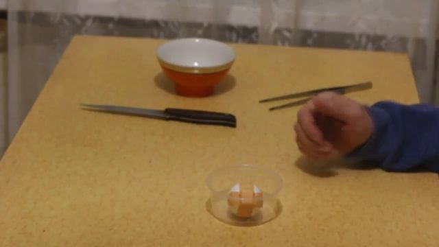 Гомункул Кто Это? (Делаем своего гомункула) смотреть онлайн