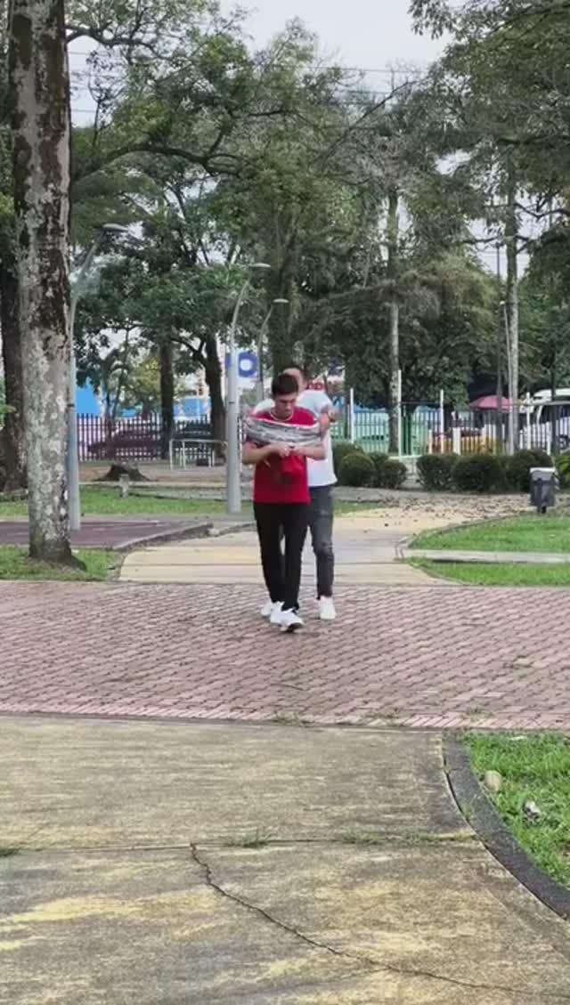 Смешные гусеницы смотреть онлайн