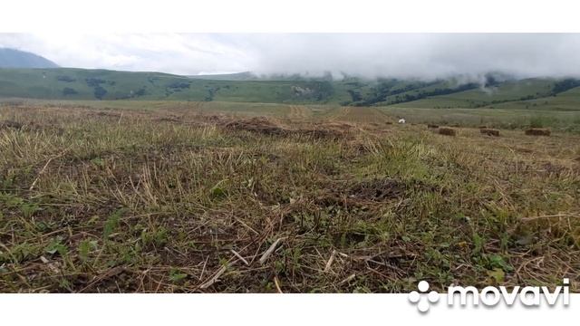 НОЕВ КОВЧЕГ/Иследования продолжаются/1/ смотреть онлайн