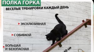 Кошка катается с горки