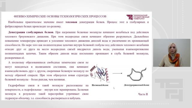 Изменение белков пищевых продуктов при технологической обработке часть 2