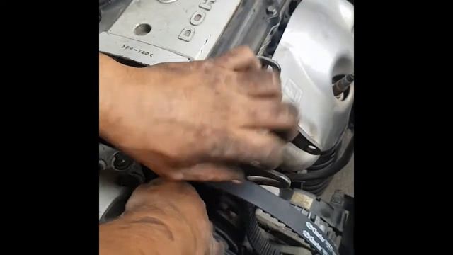تغيير كاتينة فيرنا (الجزء الثاني)