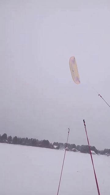 Кайт парафоил Elf SW11