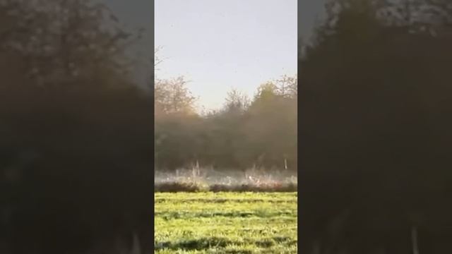 Мои уста🌹🇮🇱03.04.24 смотреть онлайн